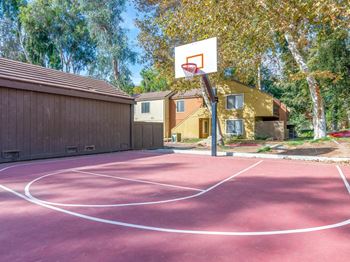 Basketball court